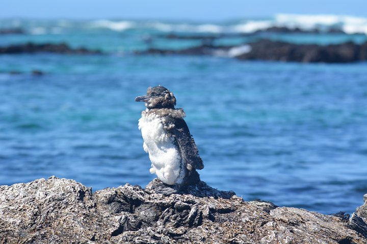 Tour to Pinzón + Las palmas - Photo 1 of 8